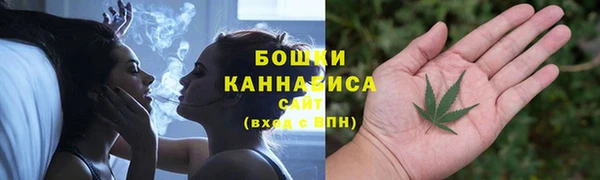 винт Липки