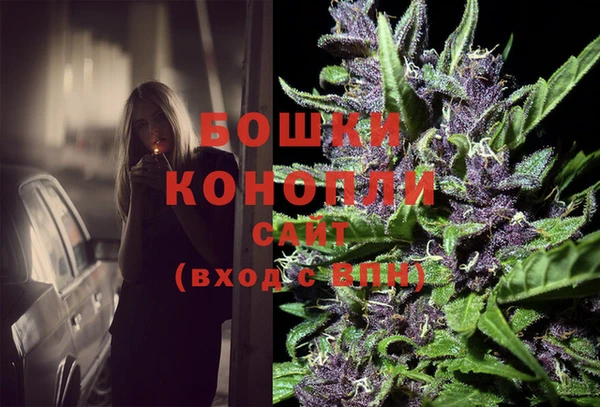 винт Липки